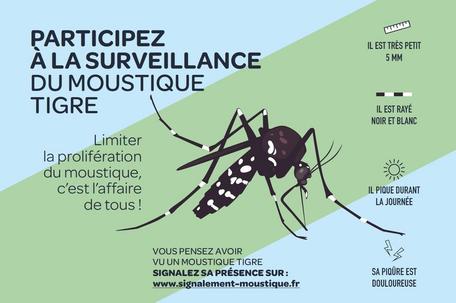 Affiche intitulé "Participez à la surveillance du moustique tigre." avec pour slogan "Limiter la prolifération du moustique, c'est l'affaire de tous !". Cette affiche nous indique comment reconnaître un moustique tigre à l'aide de 4 critères : il est très petit (5mm), il est rayé noir et blanc, il pique durant la journée et sa piqûre est douloureuse. Au centre de cette affiche, nous avons l'illustration d'un moustique tigre. Si vous pensez avoir vu un moustique tigre, signalez sa présnece sur : www.signalement-moustique.fr