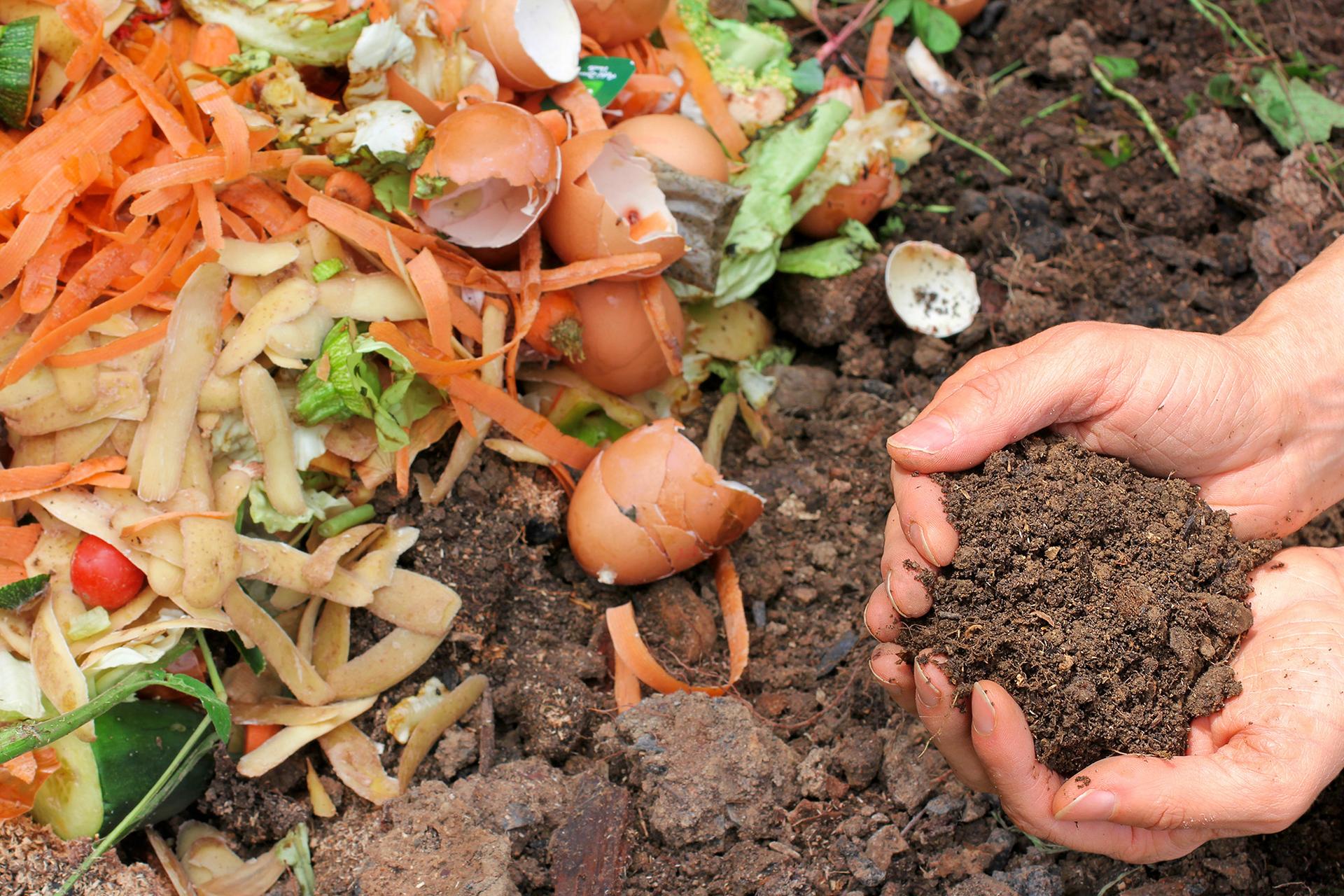 Je fais mon compost